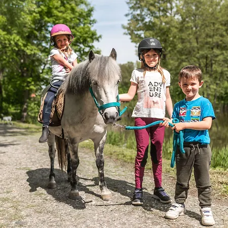 Guest house Bilichov 3*