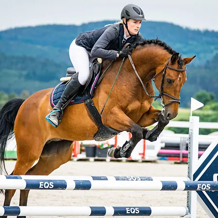 Bilichov Vendégház 3*