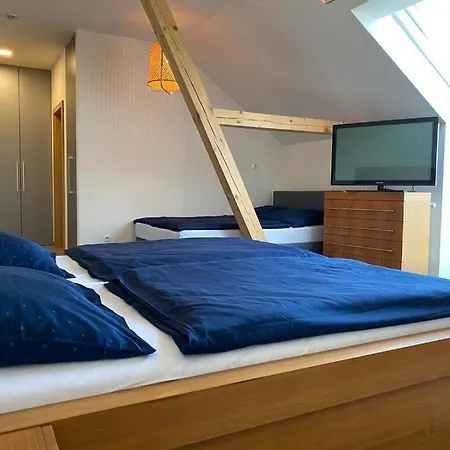 Guest house Bilichov Bilichov