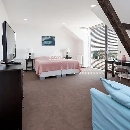 Bilichov 3* Bilichov